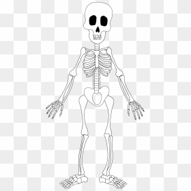Line Art, HD Png Download - skeleton arm png