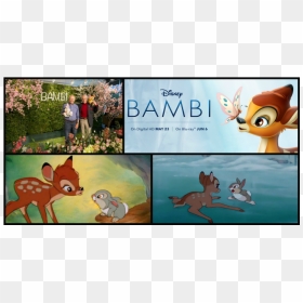 Cartoon, HD Png Download - thumper png