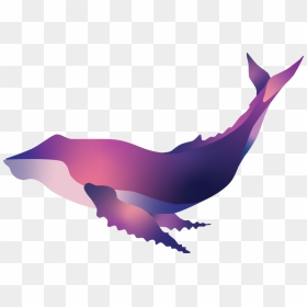 Illustration, HD Png Download - humpback whale png