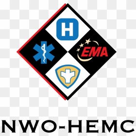 Carenet Logo Nwo Pathways Logo Nwo Healthcare Emergency - Public Health, HD Png Download - nwo logo png