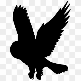 Transparent Owl Flying Silhouette, HD Png Download - owl silhouette png