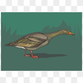 Goose, HD Png Download - duck clipart png