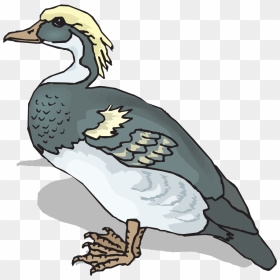 Clip Art, HD Png Download - duck clipart png