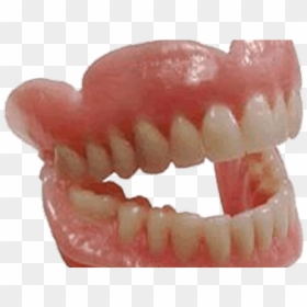 Fake Teeth No Background, HD Png Download - teeth.png