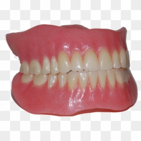 Dentures, HD Png Download - teeth.png