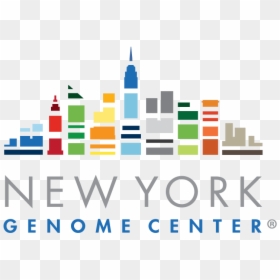 New York Genome Center, HD Png Download - ny skyline png