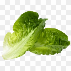 Little Gem Lettuce Leaf, HD Png Download - green smoothie png