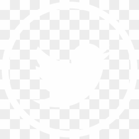 Twitter, HD Png Download - white circle.png