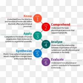 Bloom's Taxonomy, HD Png Download - objectives png