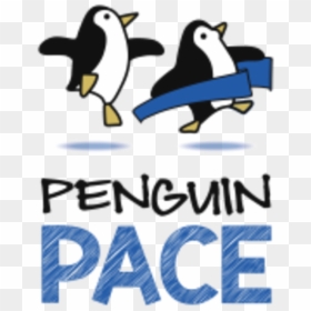 Penguin Pace, HD Png Download - penguin logo png