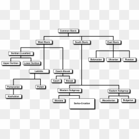 Diagram, HD Png Download - language icon png