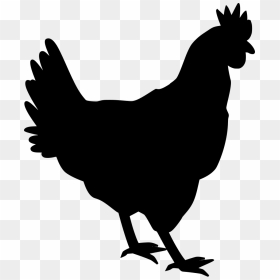 White Chicken Silhouette Png, Transparent Png - chicken vector png