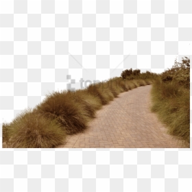 Dirt Road Transparent, HD Png Download - road.png