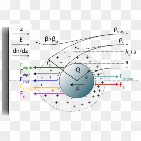 Debye Shielding Dusty Plasma, HD Png Download - vhv