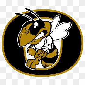 School Logo - Central High School Louisville Logo, HD Png Download - yellow jacket png
