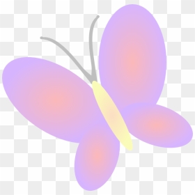 Spring Flowers And Butterflies Clipart - Butterfly Clip Art Cute, HD Png Download - spring clipart png
