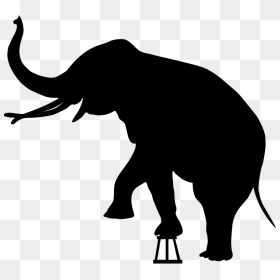 Circus Elephant Silhouette, HD Png Download - circus elephant png