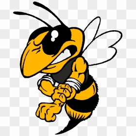 Yellow Jackets Football Logo Clipart , Png Download - Louisville Central High School Logo, Transparent Png - yellow jacket png