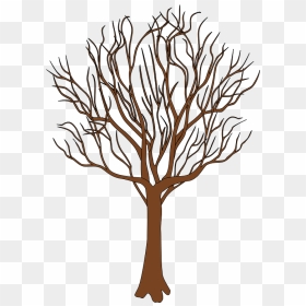 Tree In Spring Clipart - Bare Tree Cartoon Png, Transparent Png - spring clipart png