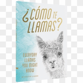 Llamas Book Cover Kristin Llamas Como Te Llamas - ¿como Te Llamas? Everyday Llamas You Might Know, HD Png Download - llamas png