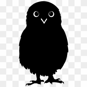 Screech Owl, HD Png Download - owl silhouette png