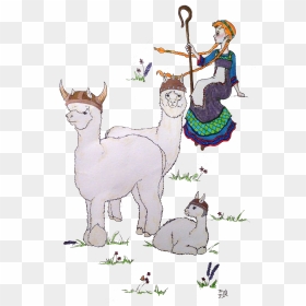 Cartoon, HD Png Download - llamas png