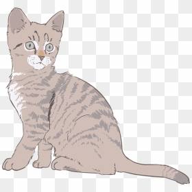 Cat Drawing Transparent Background, HD Png Download - cat drawing png