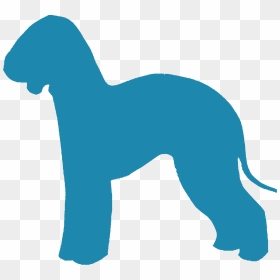Bedlington Terrier - Companion Dog, HD Png Download - dachshund silhouette png