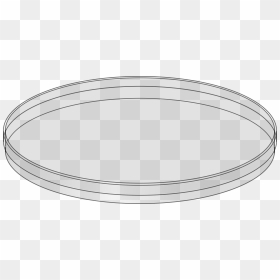 Petri Dish Clip Arts - Petri Dish Clipart, HD Png Download - satellite dish png