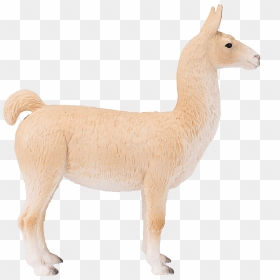 Deer, HD Png Download - llamas png