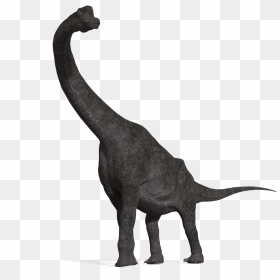 Thumb Image - Brachiosaurus Png, Transparent Png - brachiosaurus png