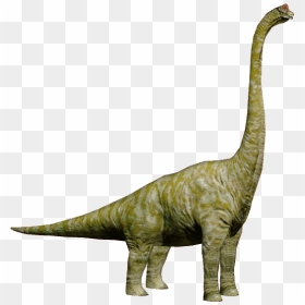 Thumb Image - Brachiosaurus Jurassic World Dinosaurs, HD Png Download - brachiosaurus png