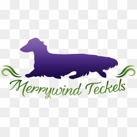 Companion Dog, HD Png Download - dachshund silhouette png