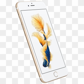 Iphone 6s Back - Iphone 6plus 6 Plus Gold, HD Png Download - iphone 6s plus png