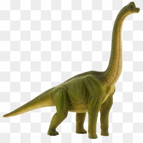 Brachiosaurus Toy , Png Download - Mojo Brachiosaurus, Transparent Png - brachiosaurus png