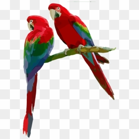 Macaw,parrot,budgie - Scarlet Macaw Transparent Background, HD Png Download - parakeet png