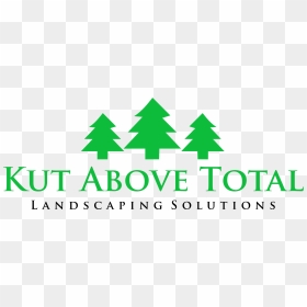 Kut Above Total - Christmas Tree, HD Png Download - customer satisfaction png