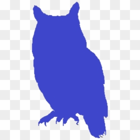 Blue Owl Silhouette - Owls, HD Png Download - owl silhouette png