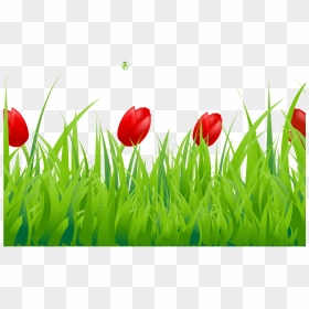 Spring Clipart Spring Grass Pencil And In Color Spring - Transparent Background Grass With Flowers Clipart Png, Png Download - spring clipart png