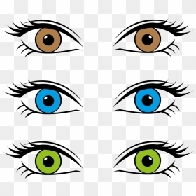 Line Art,head,eye - Eye Color Clipart, HD Png Download - eyes.png