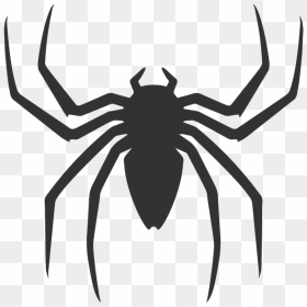 Spiderman Back Spider Logo, Png Download - Spider Man 2 2004 Spider Logo, Transparent Png - black spiderman png