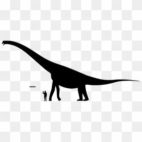 File - Brachiosaurus Size - Svg - Size, HD Png Download - brachiosaurus png