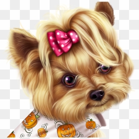 Little Pumpkin Yorkie - Yorkie Boy Clipart, HD Png Download - yorkie png