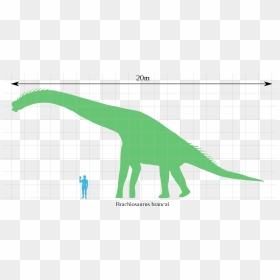 File - Brachiosaurus Scale - Svg - Brachiosaurus Scale, HD Png Download - brachiosaurus png