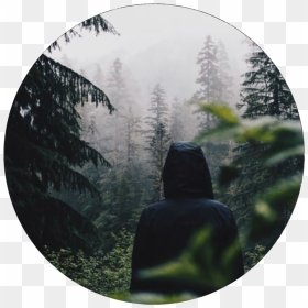 Fog - Quotes Of Allah Is Merciful, HD Png Download - fog.png