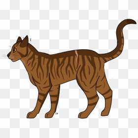 Transparent Cat Drawing Png - Warrior Cats Brackenfur, Png Download - cat drawing png