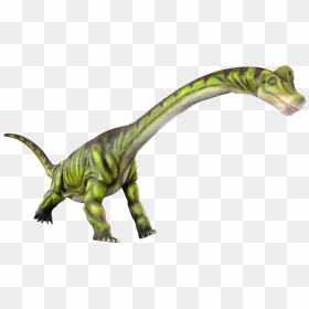 Transparent Brachiosaurus Png - Lesothosaurus, Png Download - brachiosaurus png