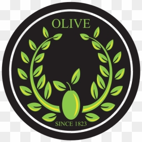 Olive Branch Logo Design - Logo, HD Png Download - olive branch vector png
