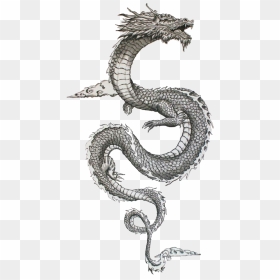 #traditional #japanese #dragon #freetoedit - Chinese Dragon Body Drawing, HD Png Download - japanese dragon png