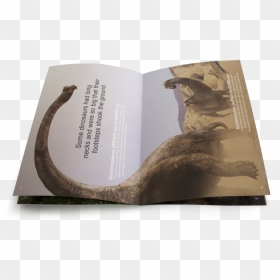 Transparent Brachiosaurus Png - Visual Arts, Png Download - brachiosaurus png
